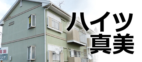 小美玉市羽刈ハイツ真美