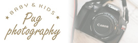 水戸市・キッズスタジオ・パグフォトグラフィー
